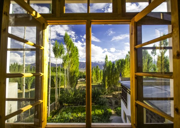 Cost of Wood Window Replacement in Clearwater