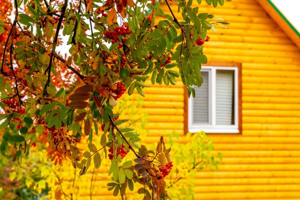 Cost of Garden Window Replacement in Clearwater